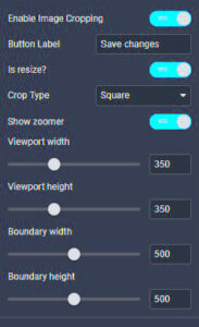 How to Crop Images in Elementor