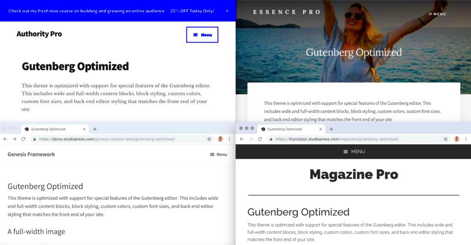 Six Popular Themes  Now Gutenberg Optimized