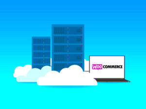WooCommerce Hosting: Choosing the Right Plan for Your Store