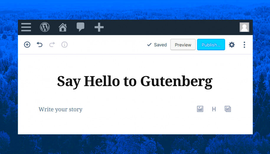 Quick Guide on WordPress Gutenberg Editor  MotoPress