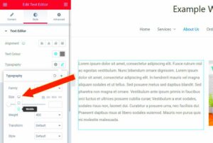 Setting Elementor Base Font Size to 10px