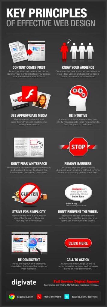 10 Key Website Design Principles infographic  Digivate