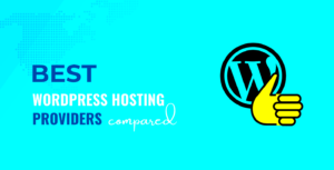 Choosing the Best Hosting for WordPress Ecommerce Sites