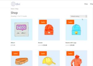How to Show SKU on WooCommerce Product Pages in Divi
