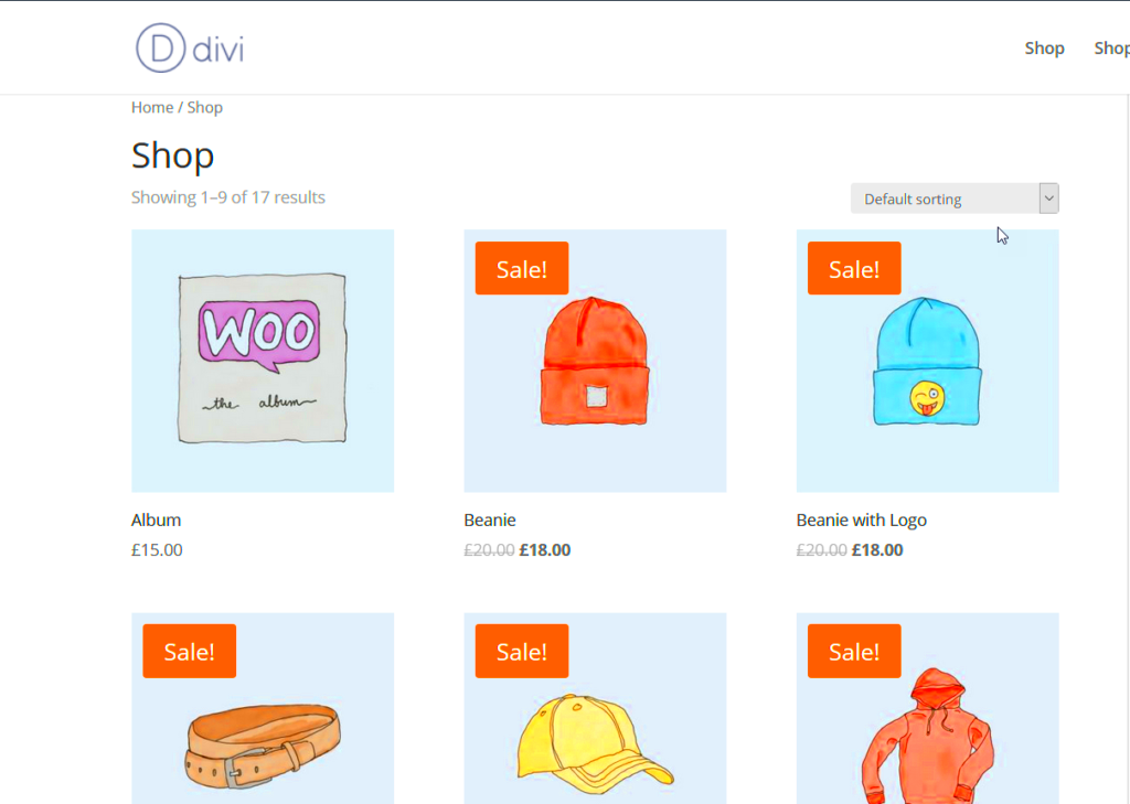 How to Customize the WooCommerce Product Page in Divi  QuadLayers