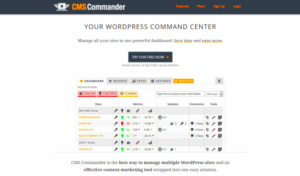 Managing Multiple Websites for Your Business