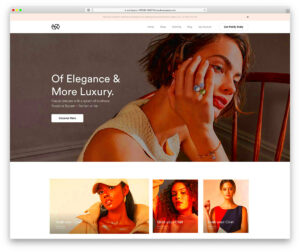 Top WordPress Themes for Ecommerce Websites in 2024