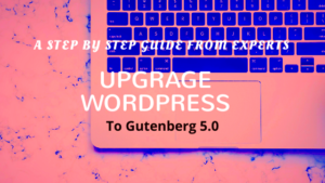 How to Update the Gutenberg Version in WordPress