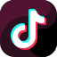 TikTok Video Downloader Tool